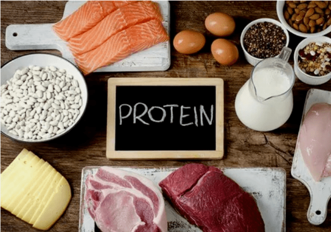 Products of protein diet